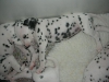 1 mese